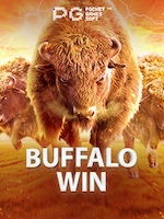 Buffalo-Win game thumbnail
