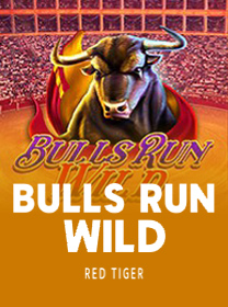 Bulls-Run-Wild game thumbnail